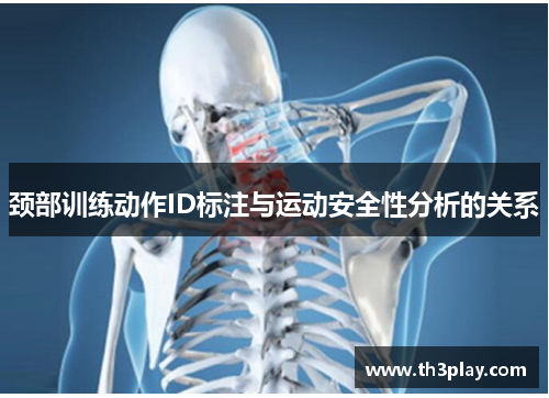 颈部训练动作ID标注与运动安全性分析的关系